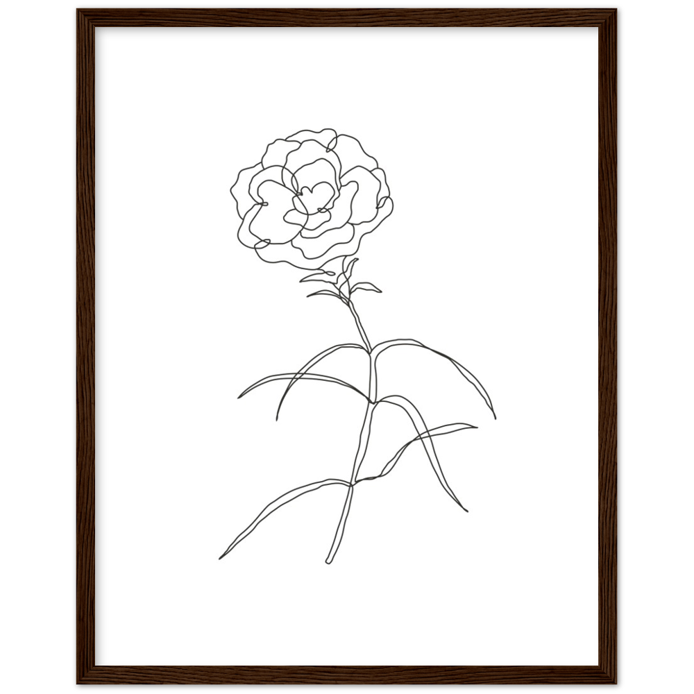 Framed Rose Poster