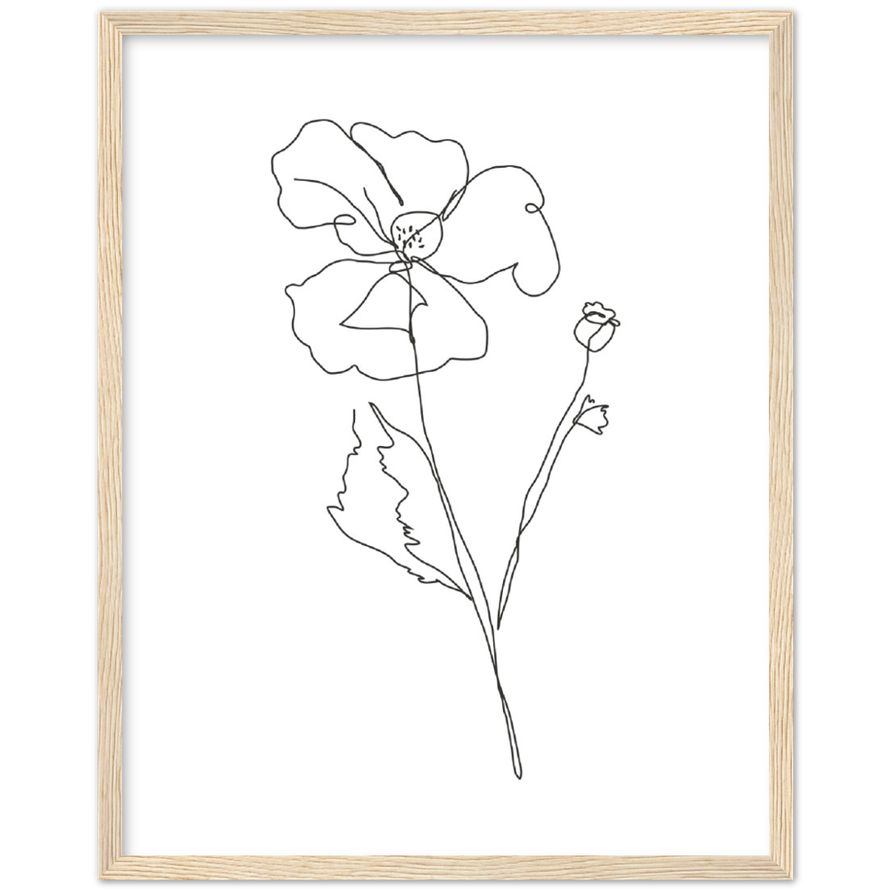 Framed Drawn Flower Poster