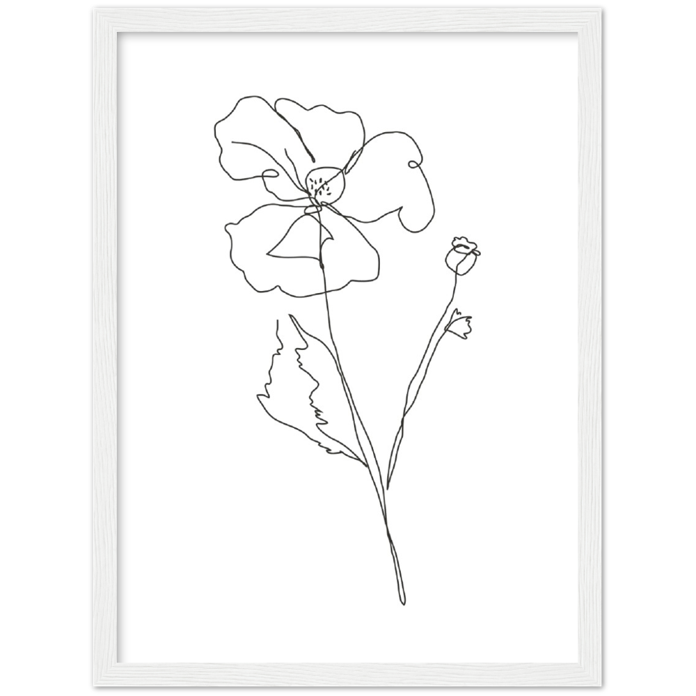 Framed Drawn Flower Poster