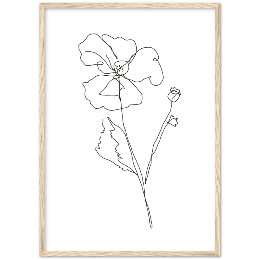 Framed Drawn Flower Poster