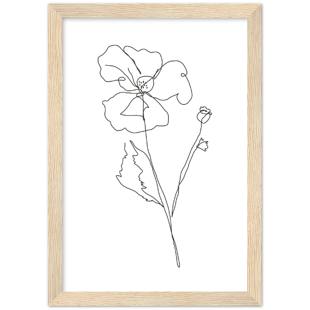 Framed Drawn Flower Poster