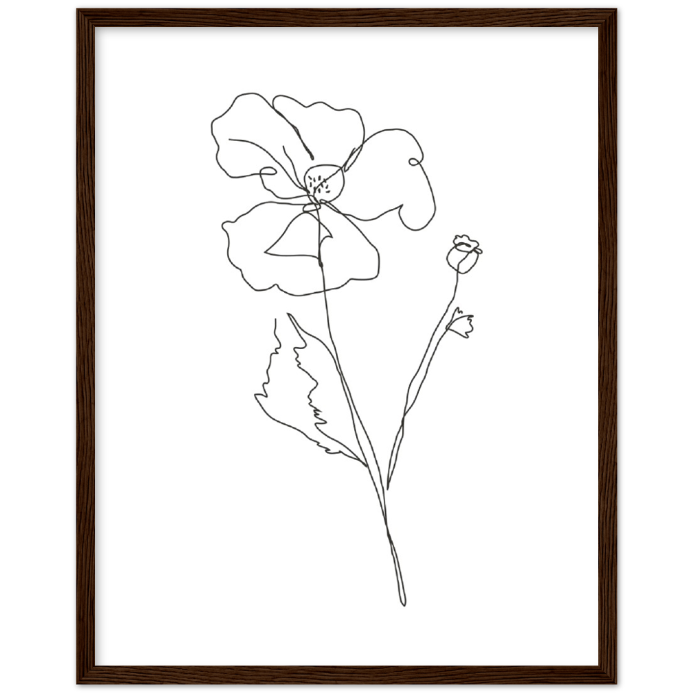 Framed Drawn Flower Poster